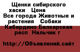 Щенки сибирского хаски › Цена ­ 12 000 - Все города Животные и растения » Собаки   . Кабардино-Балкарская респ.,Нальчик г.